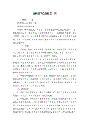 巡视整改自查报告十篇.docx