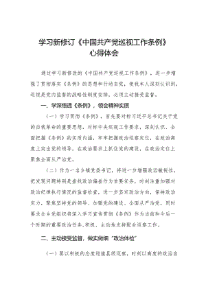 学习2024版新修订《中国共产党巡视工作条例》心得体会十九篇.docx