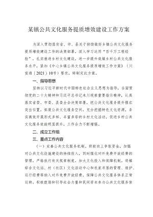 某镇公共文化服务提质增效建设工作方案.docx