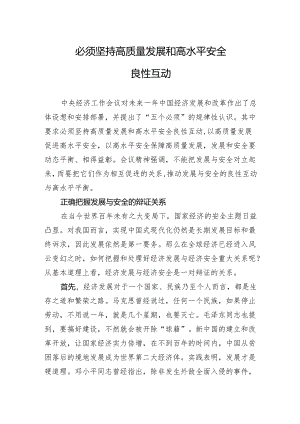 必须坚持高质量发展和高水平安全良性互动.docx
