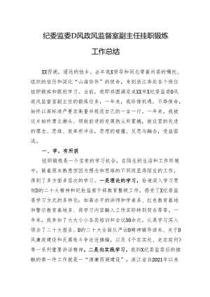 纪委监委党风政风监督室副主任挂职锻炼工作总结.docx
