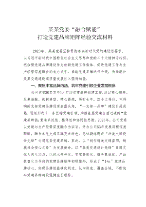 某某党委“融合赋能”打造党建品牌矩阵经验交流材料.docx