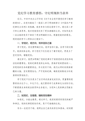 《中国共产党纪律处分条例》党纪学习教育心得体会发言：守纪明规 担当表率.docx