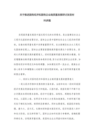 关于推进国有经济和国有企业高质量发展研讨发言材料多篇.docx