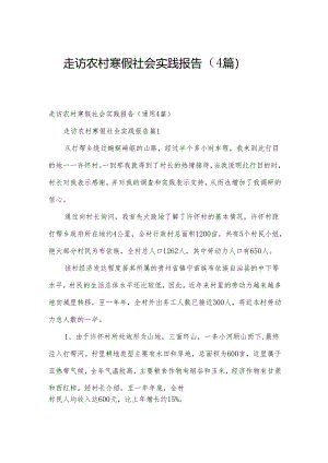 走访农村寒假社会实践报告（4篇）.docx