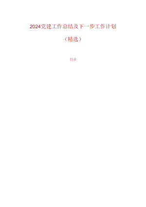 2024党建工作总结及下一步工作计划（精选）.docx