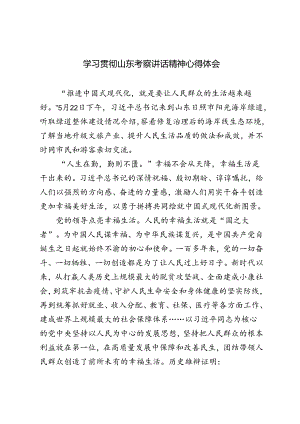 3篇范文 2024年学习贯彻山东考察讲话精神心得体会.docx