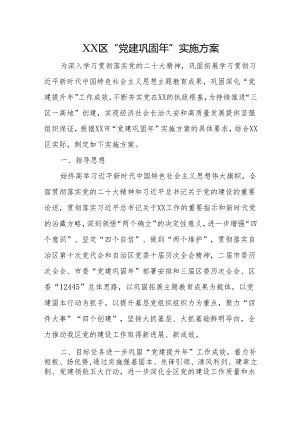 “党建巩固年”实施方案.docx