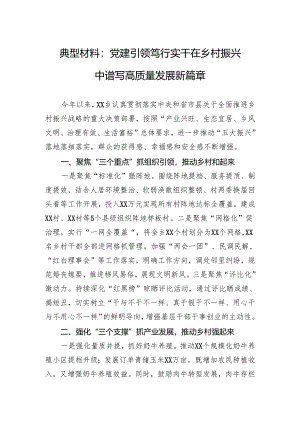 典型材料：党建引领笃行实干在乡村振兴中谱写高质量发展新篇章.docx