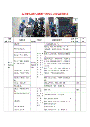 高低压电动机A级检修标准项目及验收质量标准.docx