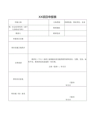 XX项目申报表.docx