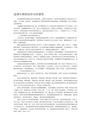 选调生刚到县府办的感悟.docx