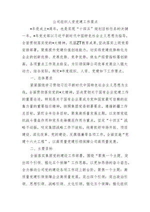 公司组织人资党建工作要点.docx