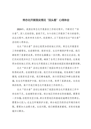 4篇 2024年常态化开展落实情况“回头看”心得体会.docx