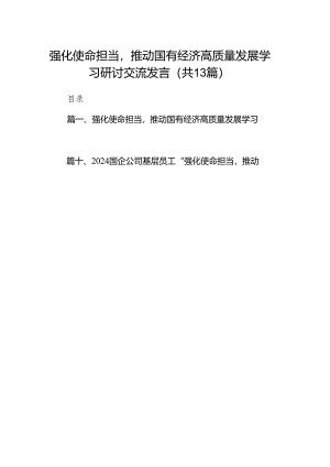 强化使命担当推动国有经济高质量发展学习研讨交流发言13篇（详细版）.docx