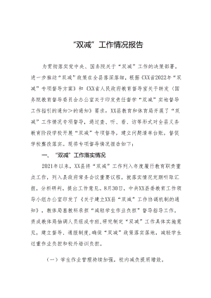 2024年“双减”工作情况专项督导报告12篇.docx