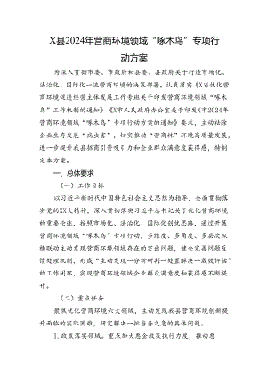 X县2024年营商环境领域“啄木鸟”专项行动方案.docx