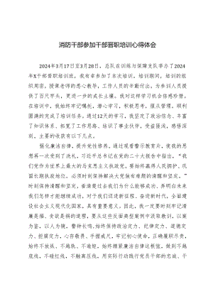 2篇 消防干部参加干部晋职培训心得体会消防救援队伍指挥员专业化培训心得体会.docx