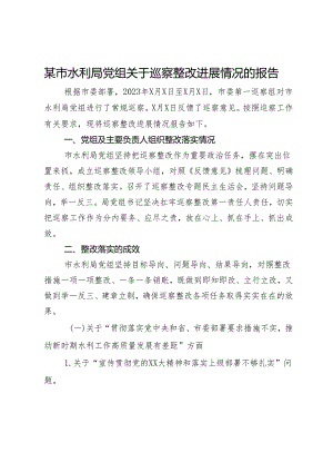 某市水利局党组关于巡察整改进展情况的报告.docx
