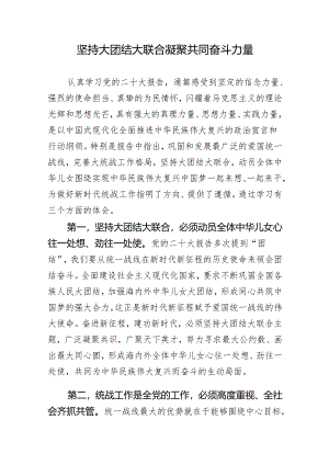 学习研讨：坚持大团结大联合 凝聚共同奋斗力量.docx