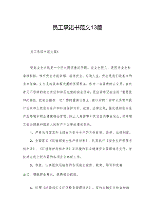 员工承诺书范文13篇.docx