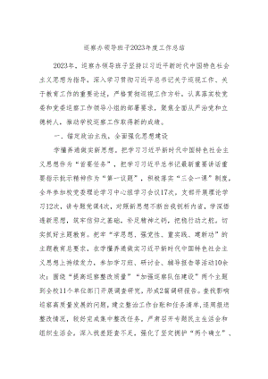 巡察办领导班子2023年度工作总结.docx