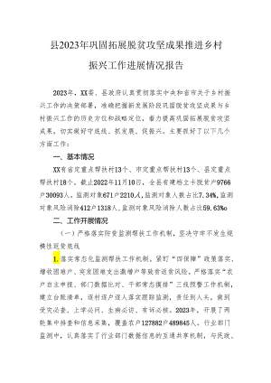 县2023年巩固拓展脱贫攻坚成果推进乡村振兴工作进展情况报告.docx