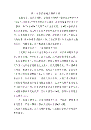 统计督察反馈意见整改总结.docx