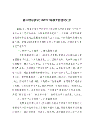 青年理论学习小组2023年度工作情况汇报.docx