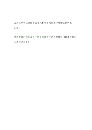 2024年某局关于群众身边不正之风和腐败问题集中整治工作情况汇报2篇.docx