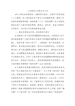 公司团委工作要点及计划.docx