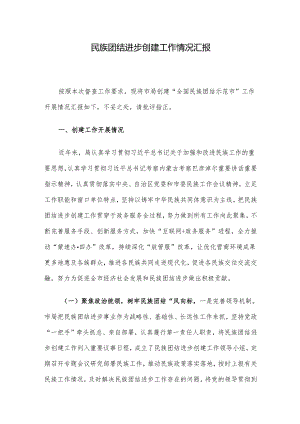 民族团结进步创建工作情况汇报.docx