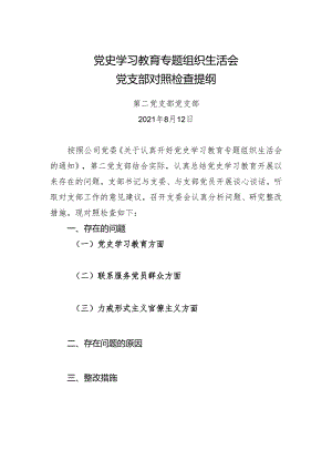党史学习教育专题组织生活会党支部对照检查提纲.docx