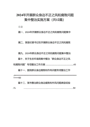 2024年开展群众身边不正之风和腐败问题集中整治实施方案(12篇合集).docx