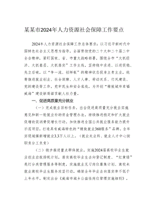 某某市2024年人力资源社会保障工作要点.docx