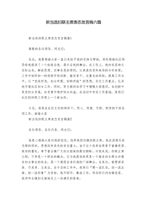 新当选妇联主席表态发言稿六篇.docx