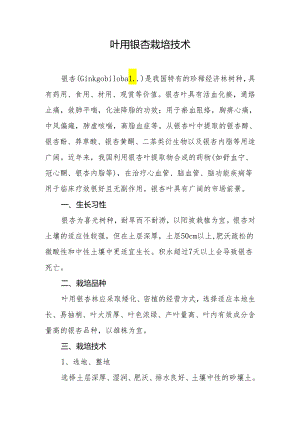 叶用银杏栽培技术.docx