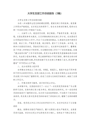 大学生支部工作总结报告（3篇）.docx
