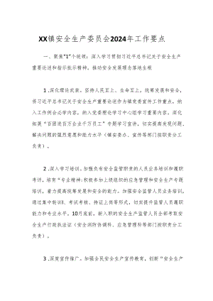 XX镇安全生产委员会2024年工作要点.docx