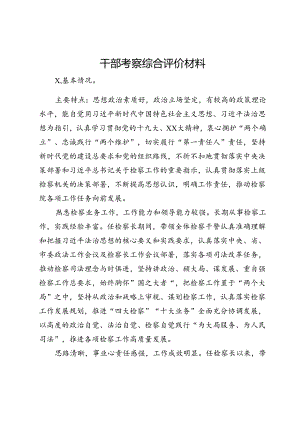 干部考察综合评价材料.docx