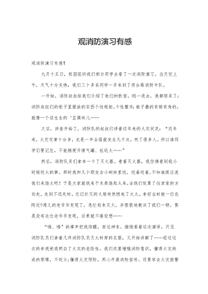 观消防演习有感.docx