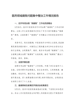 2024年医院关于医药领域腐败问题集中整治总结十四篇.docx