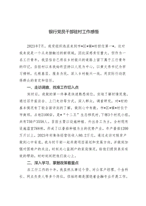 2024年银行党员干部驻村工作感悟心得体会.docx