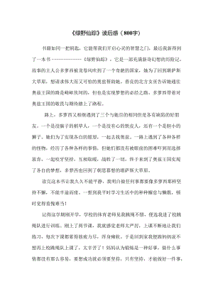 《绿野仙踪》读后感（800字）.docx