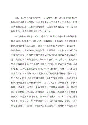 干部作风能力提升年工作总结.docx