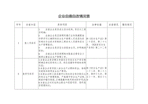 企业自查自改情况表格.docx