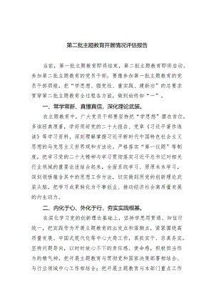 第二批专题教育开展情况评估报告5篇（详细版）.docx