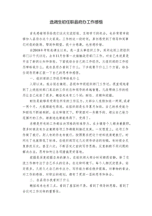 选调生初任职县府办工作感悟.docx