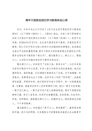 2024年5月青年干部参加党纪学习教育心得体会感悟.docx