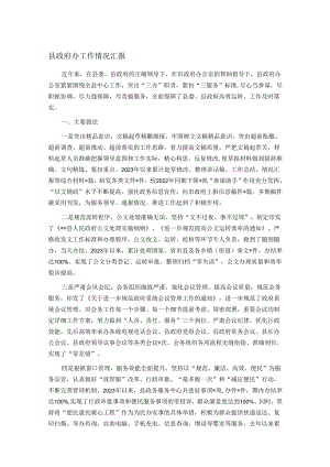 县政府办工作情况汇报.docx